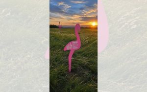 109 розови фламинго посрещат Giro d’Italia в Бургас за Grande Partenza