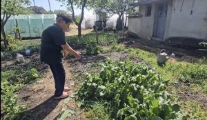 Градушка с големина на орех унищожи насаждения в Сливенско