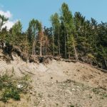 Почистването на участъка към курорта Картала предизвика недоволство в Благоевград