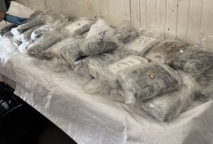 Заловиха близо 48 кг кокаин за над 4,4 млн. евро на ГКПП "Капитан Андреево"