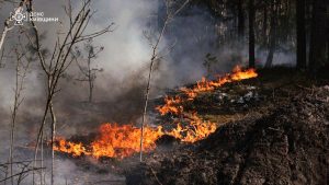 Голям горски пожар избухна в радиоактивната зона на Чернобил след падане на дрон