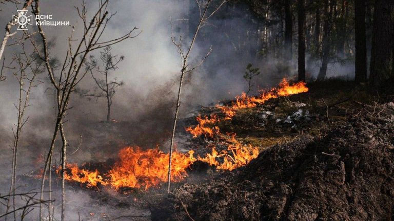 Голям горски пожар избухна в радиоактивната зона на Чернобил след падане на дрон