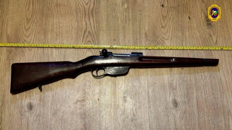 ГДБОП неутрализира схема за незаконни оръжия в Плевенско: Задържани са мъж и жена ГДБОП неутрализира схема за незаконни оръжия в Плевенско: Задържани са мъж и жена
