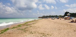 Институциите спряха незаконното паркиране върху дюните край село Крапец