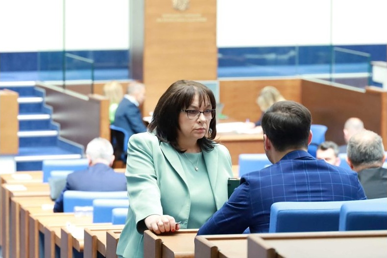 Теменужка Петкова: Управляващите нито знаят, нито могат