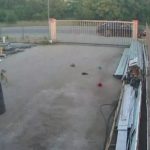 Мъж застреля куче от колата си край Пазарджик: Видео разкрива бруталното деяние