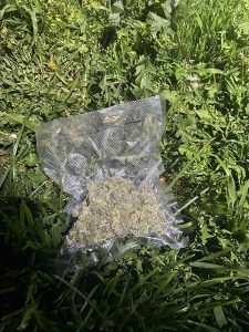 Дават на съд обвиняем за контрабанда на 200 кг марихуана през ГКПП „Кулата“ за над 3 млн. лева