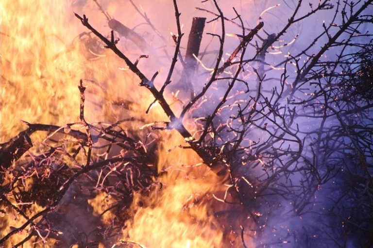 91 пожара са потушени в страната за денонощие, 58-годишна жена загина във Варна 91 пожара са потушени в страната за денонощие, 58-годишна жена загина във Варна