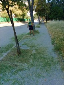 Продължава интензивното косене на тревните площи в Русе: Пълен график по квартали