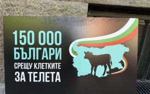 150 000 подписа срещу клетките за телета бяха внесени в парламента с мотокар