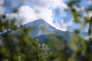 Лаят на кучето насочи спасителите към тялото на загиналата в Пирин туристка