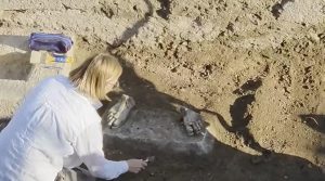 Ново голямо откритие в Хераклея Синтика – вероятно става дума за статуя на Артемида