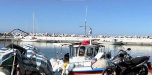 Гръцки рибари в отчаяние от инвазията на отровната риба балон в Средиземно море