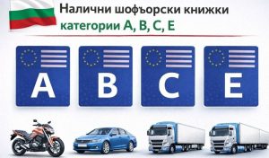 Измама в ТикТок: Продават фалшиви шофьорски книжки и изнудват купувачите за пари