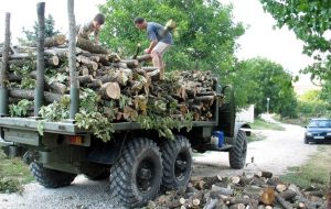 Първо намаление на държавни заплати: Шефовете на горското ще получават до 6 минимални възнаграждения