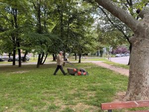 Косенето на тревните площи в Русе продължава по график до 17 юли