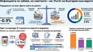 Инфлацията се забавя, но цените на услугите растат: Еврото ли е причината?