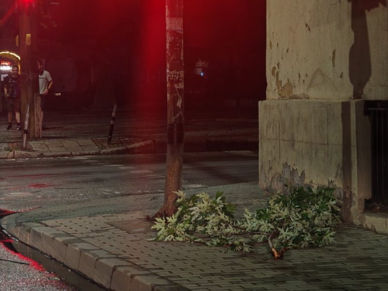 Буря причини щети и прекъсвания на електрозахранването в община Габрово Буря причини щети и прекъсвания на електрозахранването в община Габрово