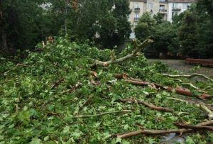 Няма пострадали хора и тежки инциденти след мощната буря в Стара Загора, Пловдив и Югозападна България