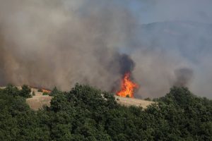 Потушен е пожар край благоевградското село Хърсово