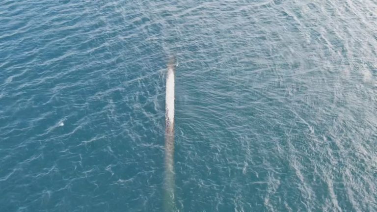 Спешна проверка на изплувала тръба в морето край Созопол