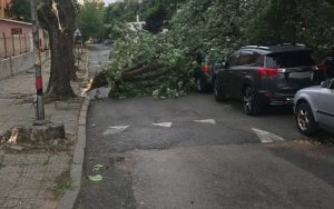 Силна буря връхлетя Югозападна България
