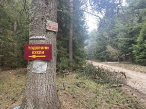 Случаят „Петрохан“: Стою Стоев определи обвиненията срещу ПП като политически саботаж