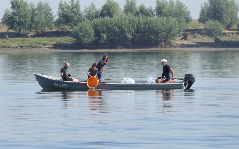 Зарибяват Дунав с 10 000 руски есетри край село Гомотарци