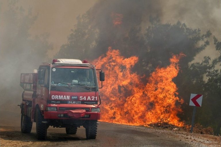 Климатичните промени превръщат горските пожари в Европа в новото нормално
