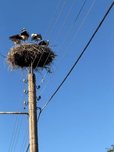 Жега до 40 градуса през почивните дни – спасение по морето и в планината
