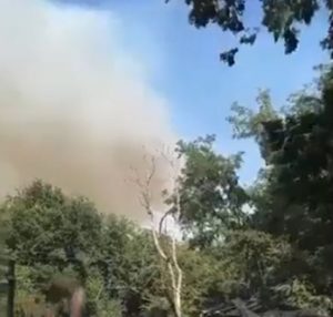 Над 40 пожара бушуват в Сърбия едновременно (Видео)