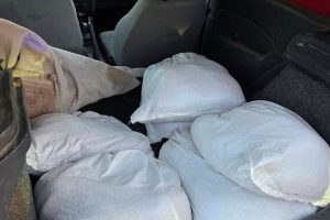 Разбиха незаконна лаборатория за производство на тютюн, трима са задържани в Пловдив (Снимки)