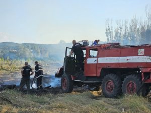 Близо 100 декара тополова гора изгоряха при пожар край село Рогозиново