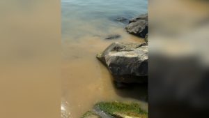 Фекални води се изляха на плаж в Свети Влас, санкционират ВиК – Бургас