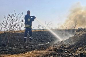 Пожар пламна край историческата местност Петрова нива в Странджа