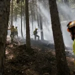 Ново проучване: Климатичните промени драстично увеличават риска от пожари в Европа
