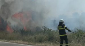 Овладян е пожарът край Пазарджик, екипи следят за повторно възникване на огнища