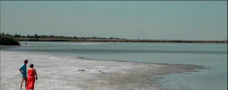 Лошо управление на ресурсите и топлото време са причините за безводието в Унгария, твърдят експерти Лошо управление на ресурсите и топлото време са причините за безводието в Унгария, твърдят експерти