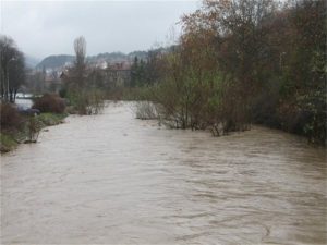 Проверяват за замърсяване на Струма заради мъртвата риба край Кюстендил