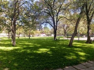 Вандали потрошиха поливната система на парк в Пловдив, полицията разследва