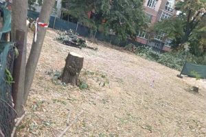 Сеч кипи на ул. „Богомил“, пловдивчани гневни