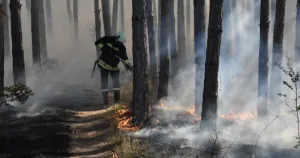 Ивайловград обяви бедствено положение, пожарът край Горно Луково стигна 1500 декара