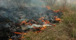 Пожар на сметище в Монтана стигна до къщи и постройки