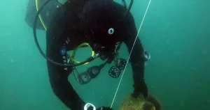 ГДБОП предаде на НИМ шест непокътнати находки от Черно море