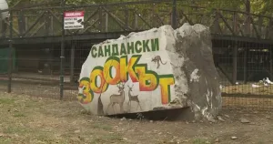 Мечката не е открита, но предупреждението в Сандански остава