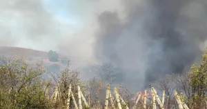 Огънят край Изворище обхвана 2000 декара, но вече е локализиран
