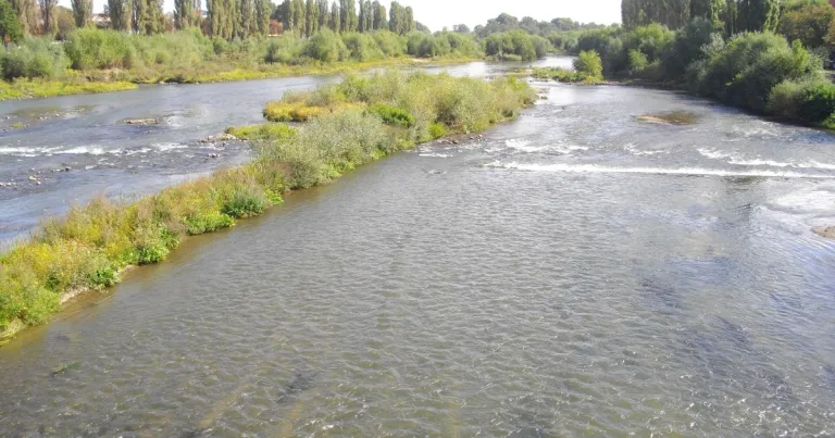 Водолази претърсват Марица в Пловдив, но целта на акцията не е потвърдена
