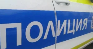 Разследват клане на коне край Сливен, открити са около 200 кг месо