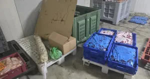 Затвориха цех за консерви в Дълго поле и насочиха храни за унищожаване