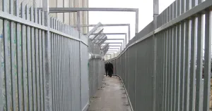 Израел задържа двама шотландски депутати и им отказа достъп до Западния бряг